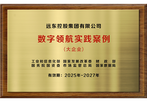 大企業(yè)數(shù)字領(lǐng)航實踐案例